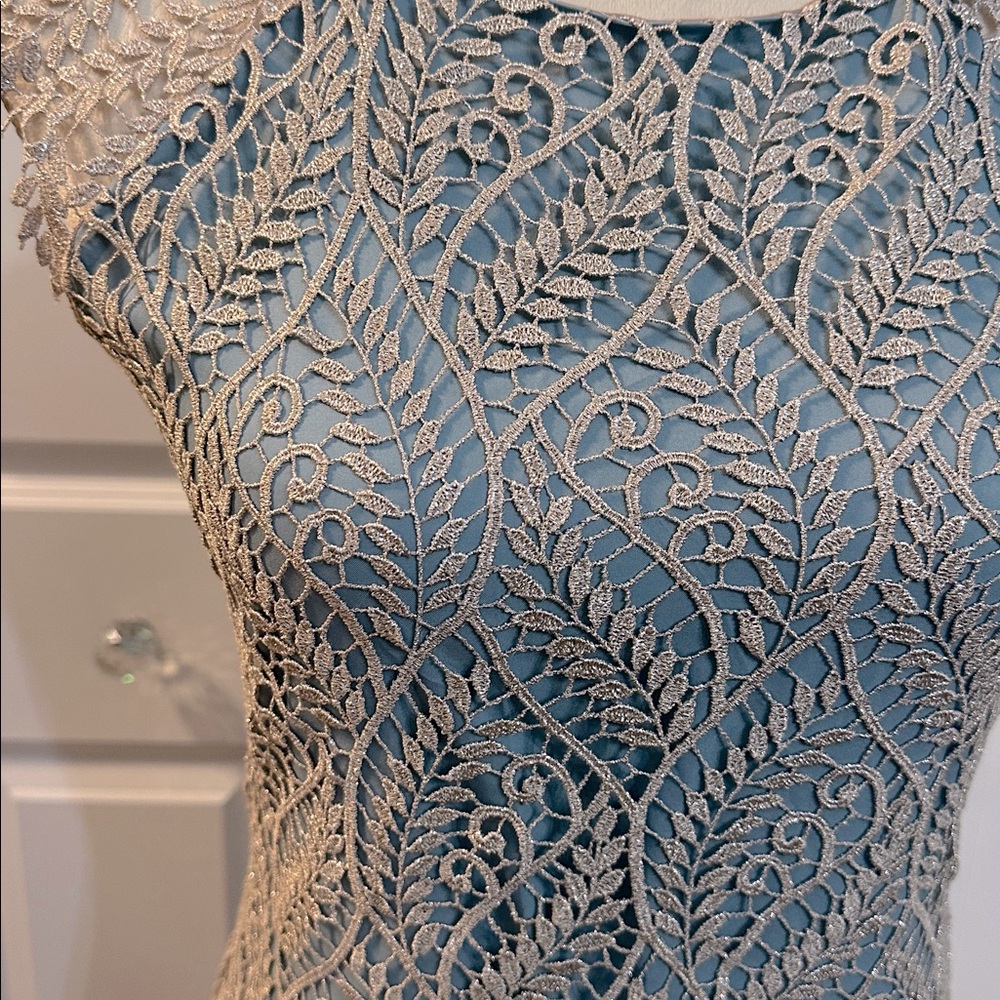 Elegant Lace Dress - Picture 2 of 6